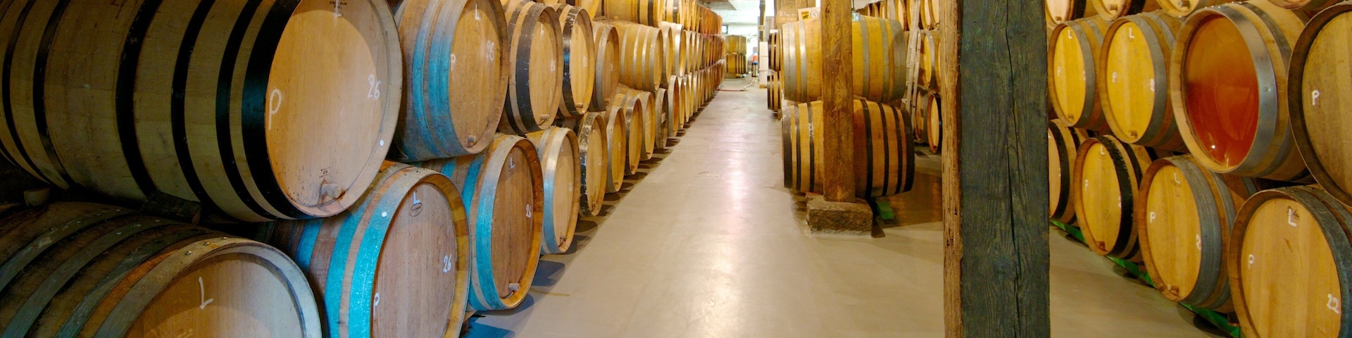 Cantillon Brewery mostrando vistas internas