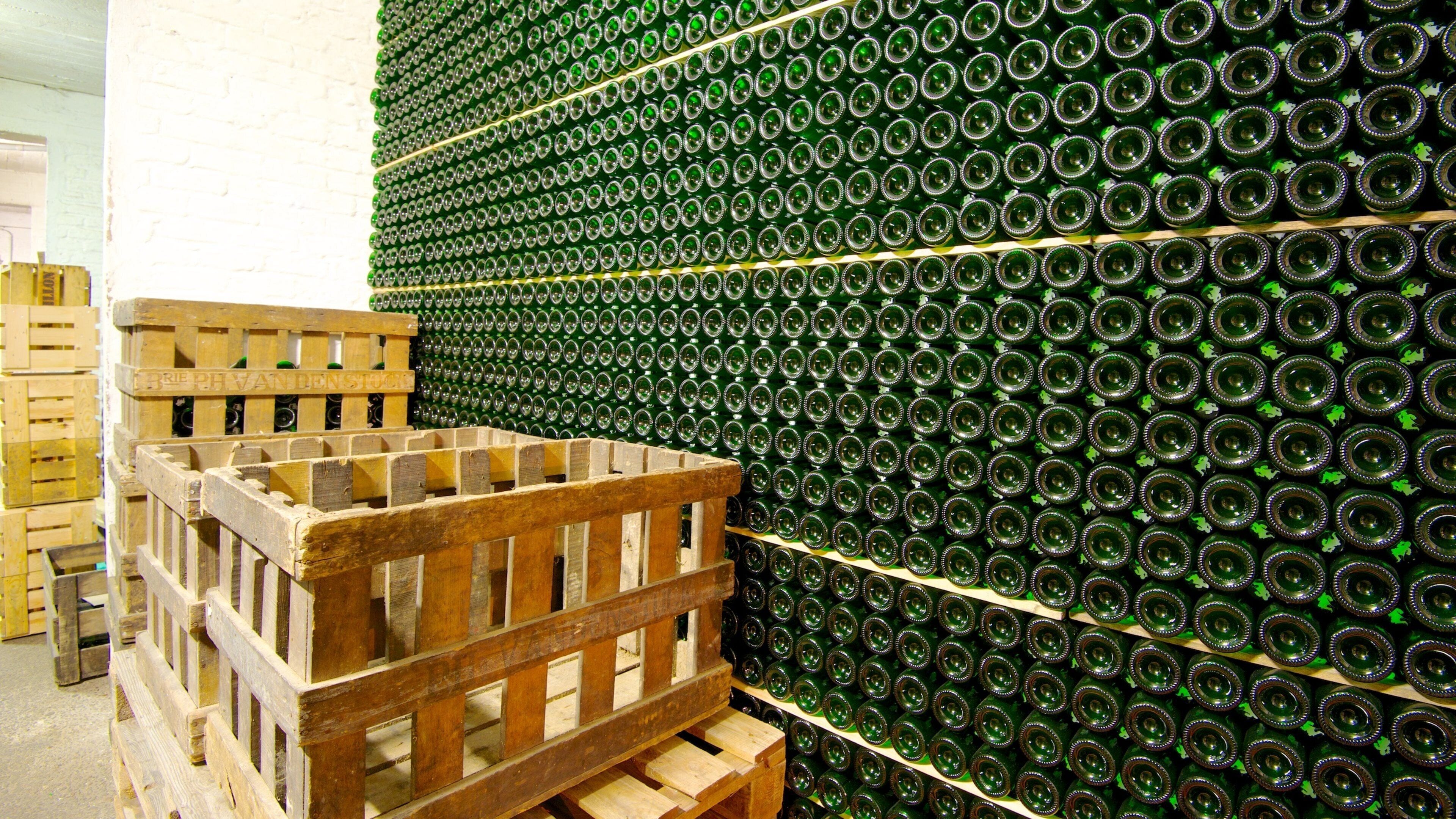 Cantillon Brewery which includes interior views