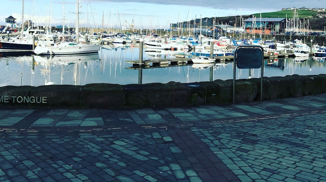 #whitehavenharbour nice and sunny #westcumbria