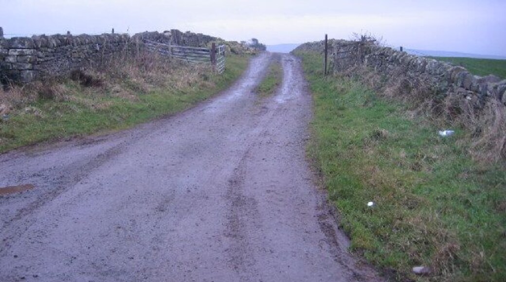 Track to Moresby Moss. Half on the left now used for farmer stores of stones muck etc.