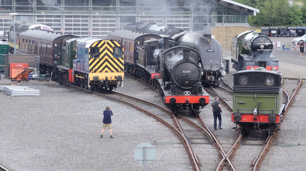 Taken at the Steam Gala last year at The Locomotion Railway Museum. Free entry and free parking...what more do you need ? Great for kids young and old !!!