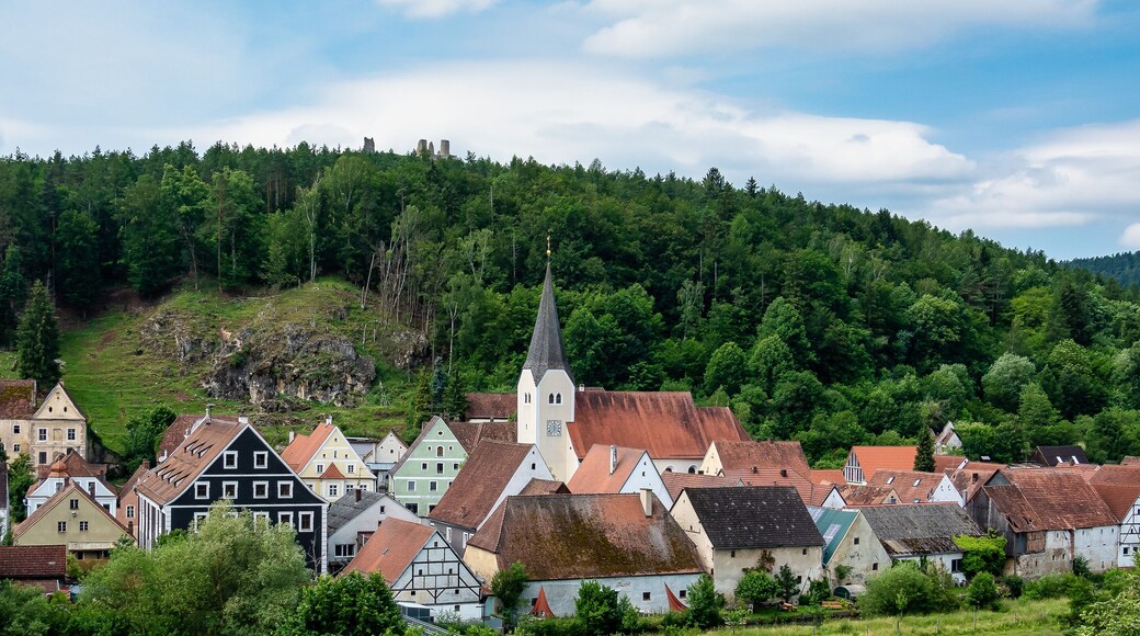 The town of Hohenburg, Upper Palatinate in Bavaria, Germany