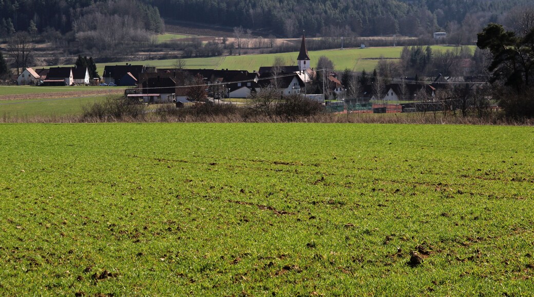 Blick auf Neukirchen in Richtung Süden