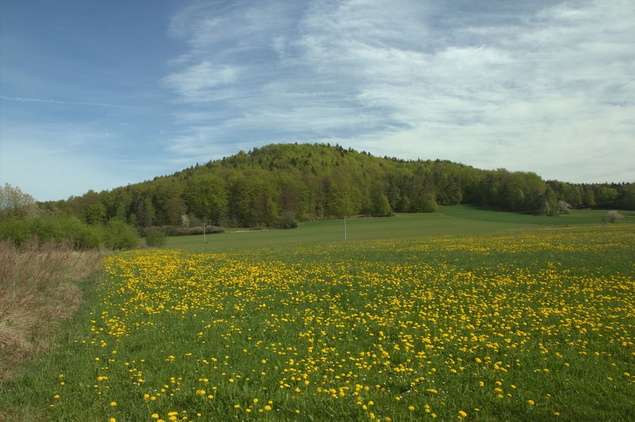 Burgstall Hartenfels - Ansicht des Hartenfelsens aus südlicher Richtung