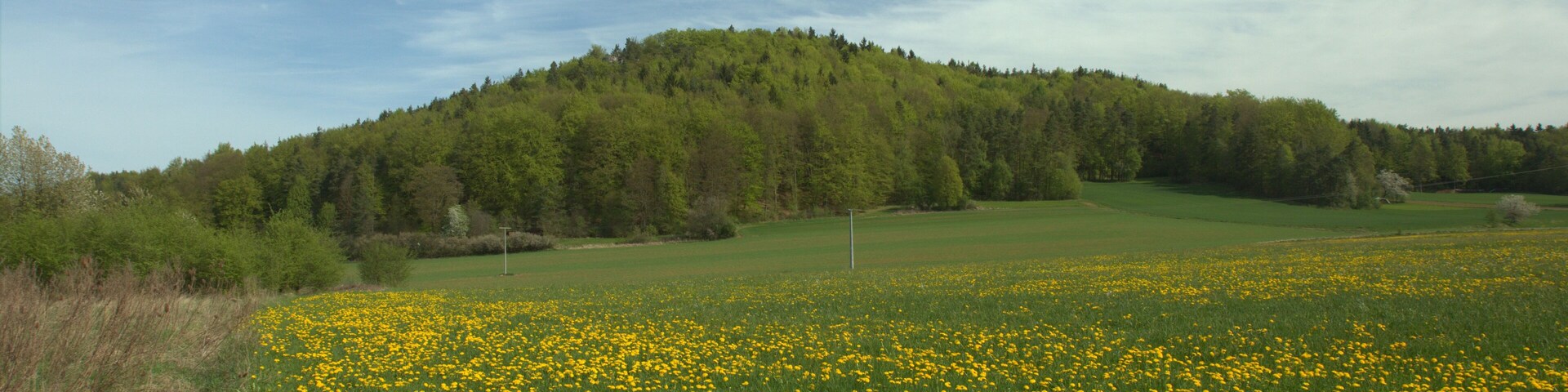 Burgstall Hartenfels - Ansicht des Hartenfelsens aus südlicher Richtung