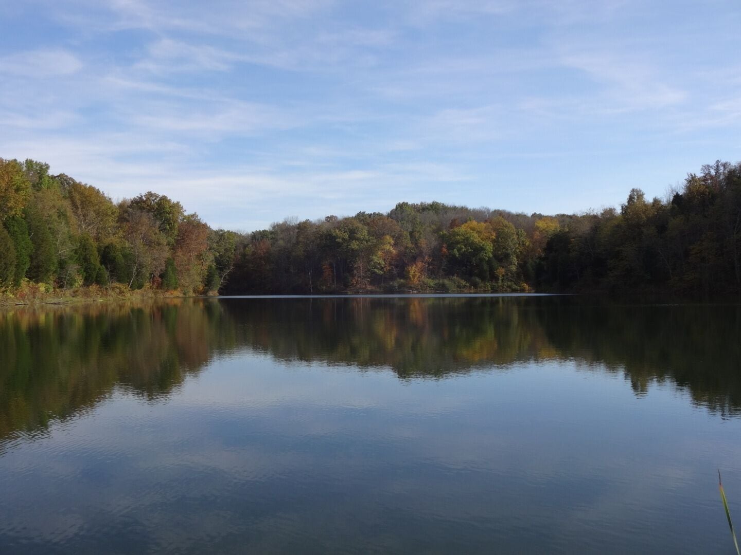 The reflection of the trees surrounding the smooth as glass waters of Big Bone Lake near the beginning of the Corralberry trail.