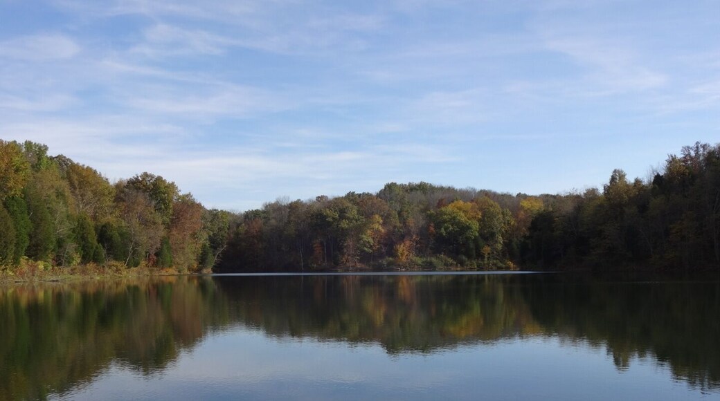 The reflection of the trees surrounding the smooth as glass waters of Big Bone Lake near the beginning of the Corralberry trail.