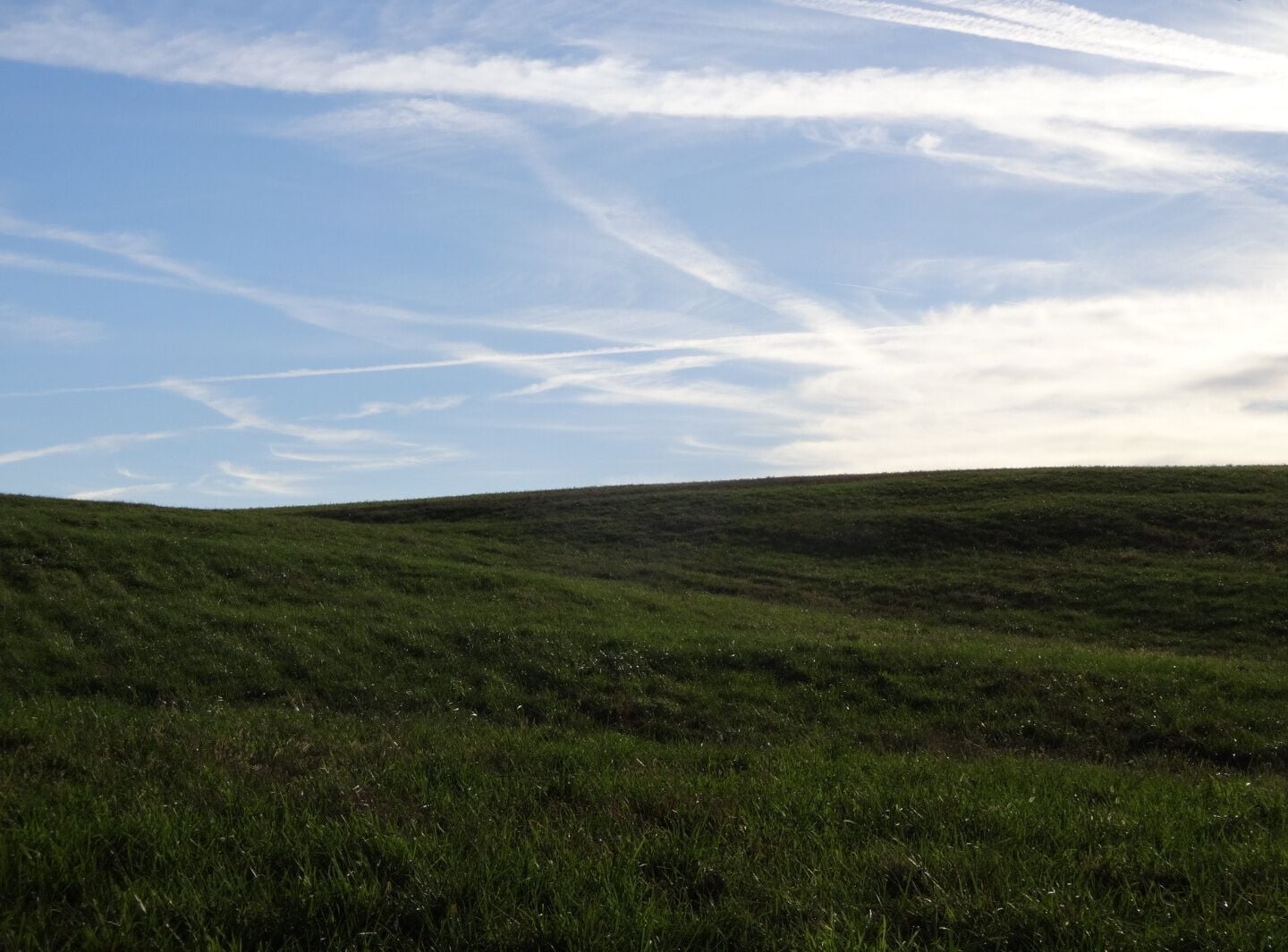 I found Windows XP!

Turning a corner on the Coralberry Trail led to this view of rolling hills that immediately brought to mind the default wallpaper for Windows XP.
