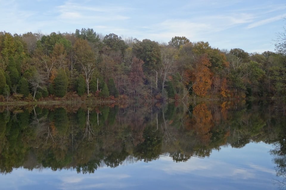 A calm lake reflecting trees with autumn foliage.