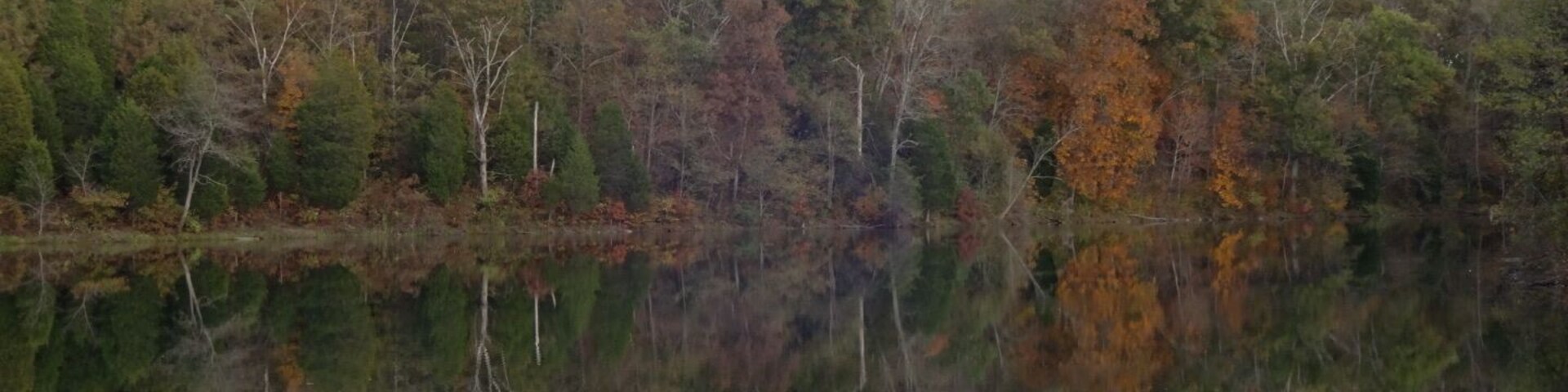 The fall colors reflecting nicely onto Big Bone Lake.