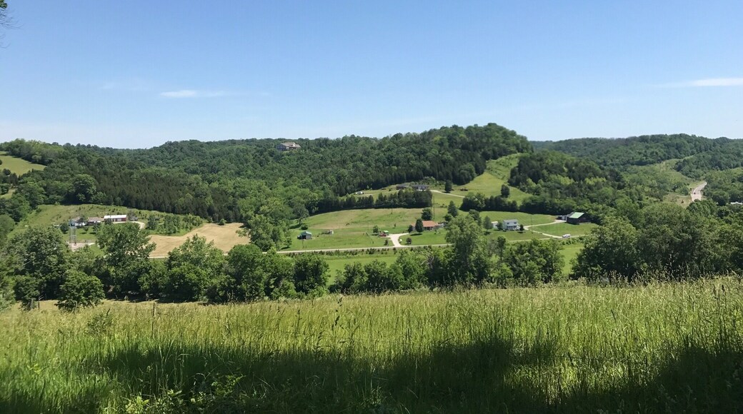 Rolling Kentucky Hills
