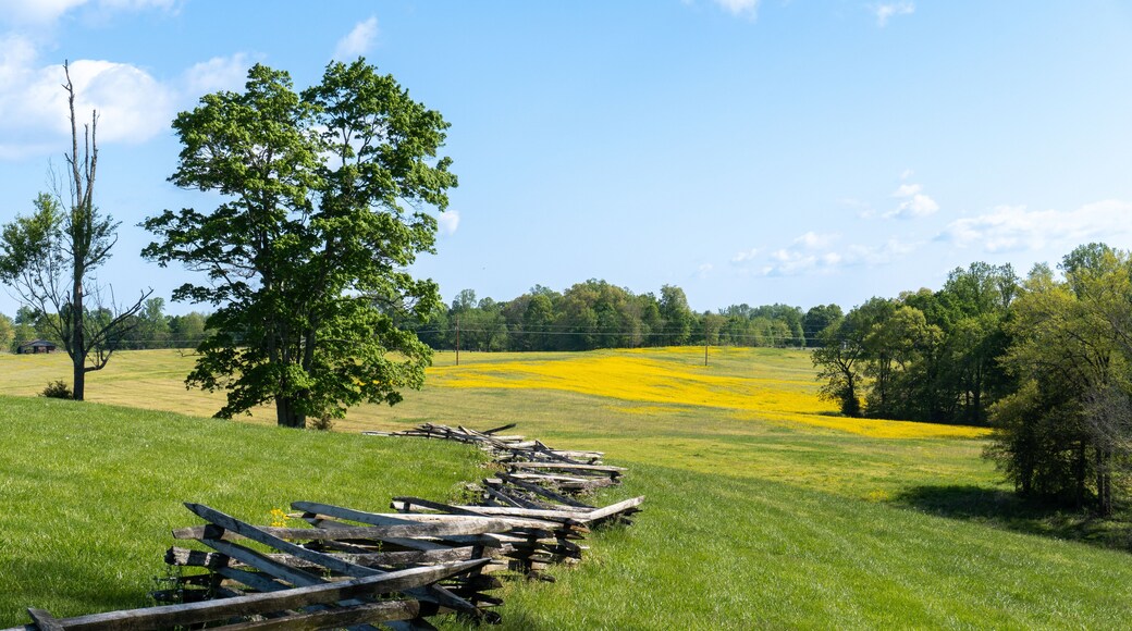 Mill Springs Battlefield National Monument in Kentucky. Canola flower and field with fence at Zollicoffer Park. Union won a significant victory early in the Civil War at the Battle of Mill Springs.