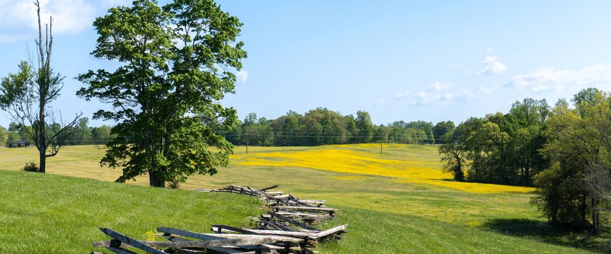 Mill Springs Battlefield National Monument in Kentucky. Canola flower and field with fence at Zollicoffer Park. Union won a significant victory early in the Civil War at the Battle of Mill Springs.
