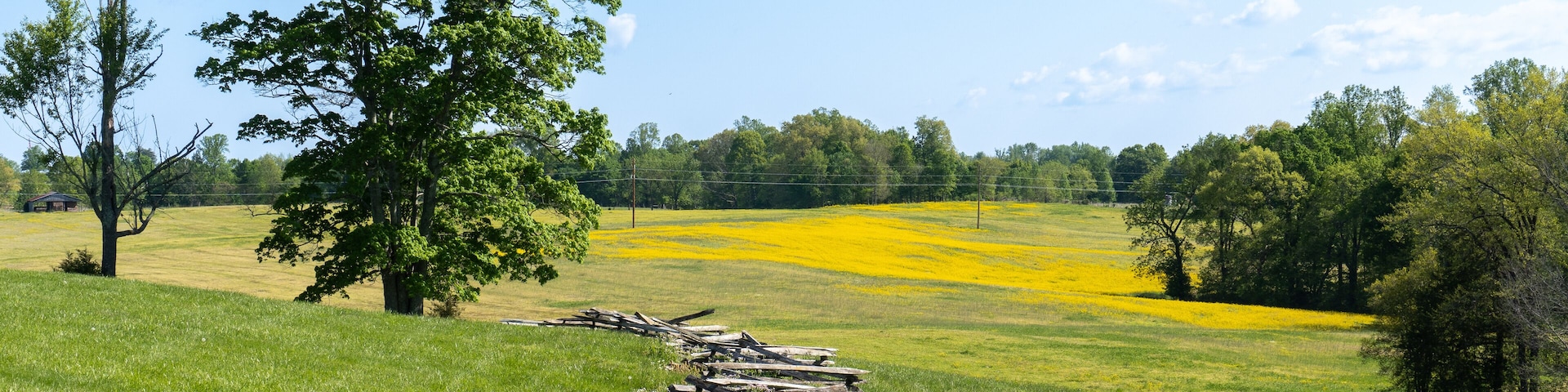 Mill Springs Battlefield National Monument in Kentucky. Canola flower and field with fence at Zollicoffer Park. Union won a significant victory early in the Civil War at the Battle of Mill Springs.