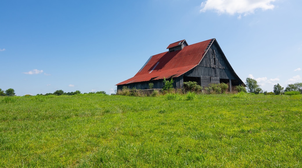 Civil War battlefield