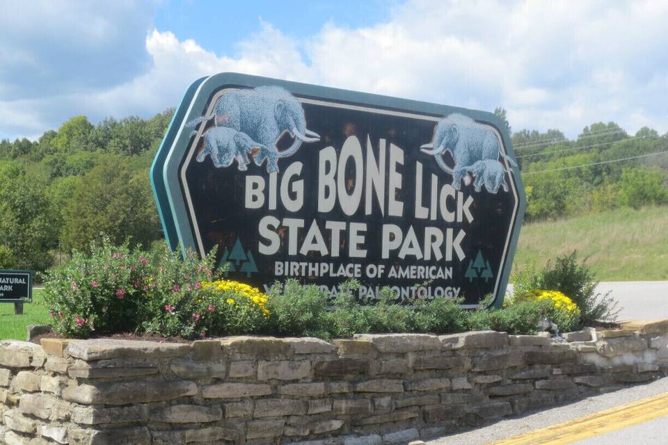 A sign for Big Bone Lick State Park with two buffalo illustrations and mentions it as the birthplace of American paleontology.