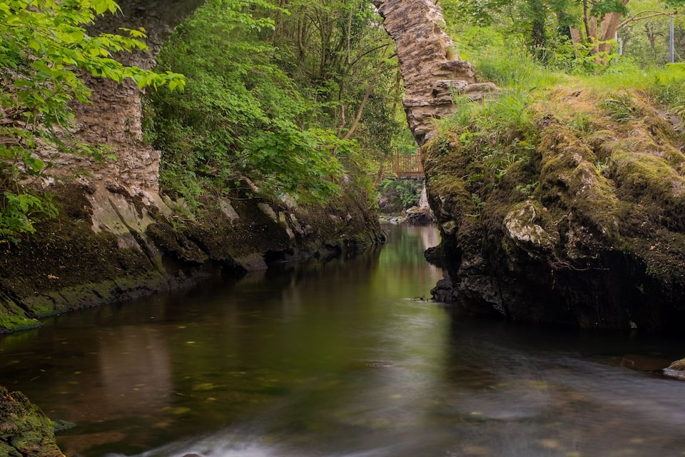 A stone bridge arching over a calm river, surrounded by lush greenery.