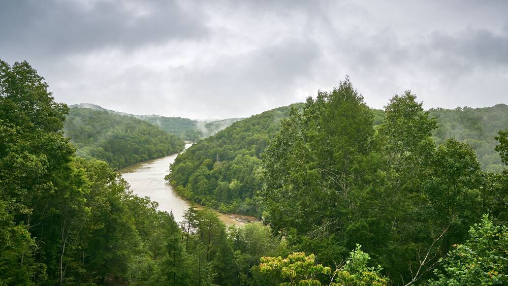 A river winding through a dense forest with misty mountains in the background.