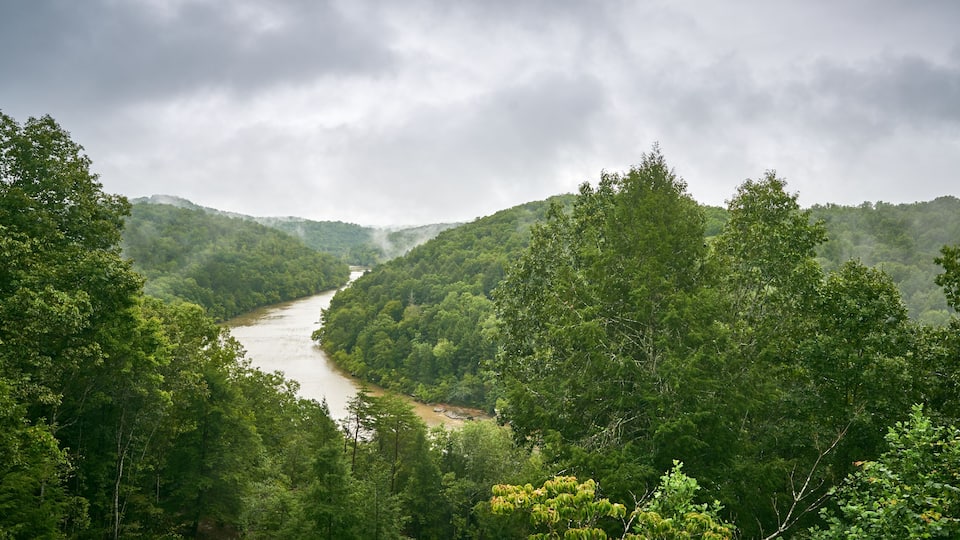 A river winding through a dense forest with misty mountains in the background.