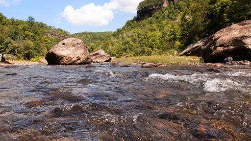 ํฐํจ์ค๋น