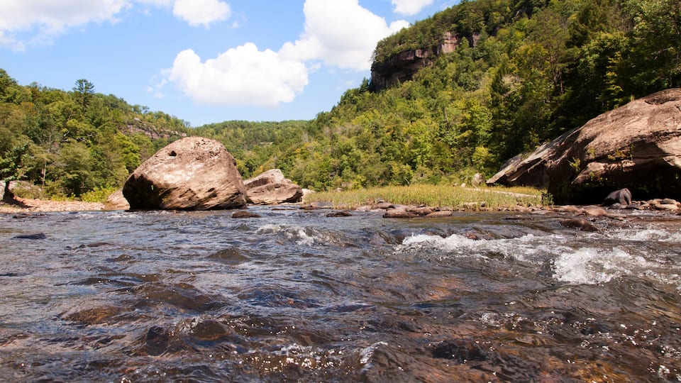A river flowing through a forested valley with large boulders and a rocky riverbed.