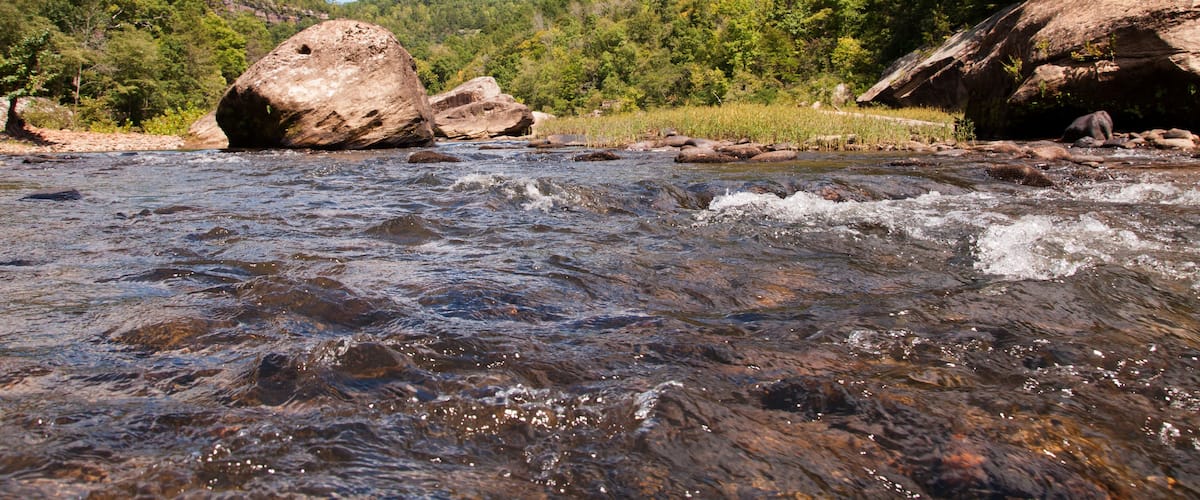 A river flowing through a forested valley with large boulders and a rocky riverbed.
