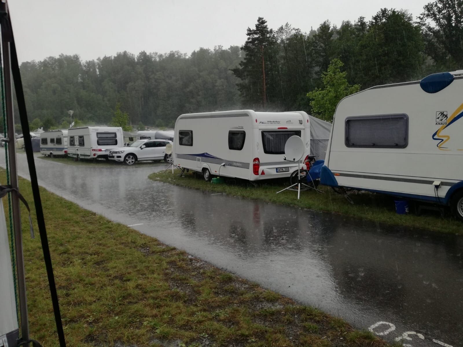 Raining cats and dogs