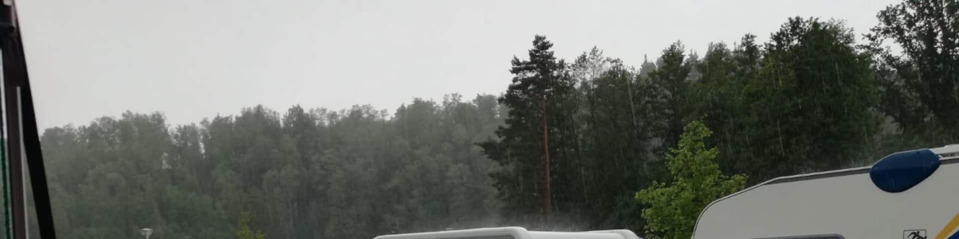 Raining cats and dogs