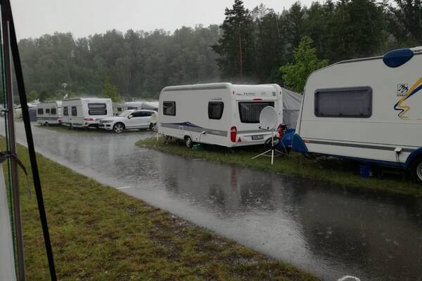 Raining cats and dogs