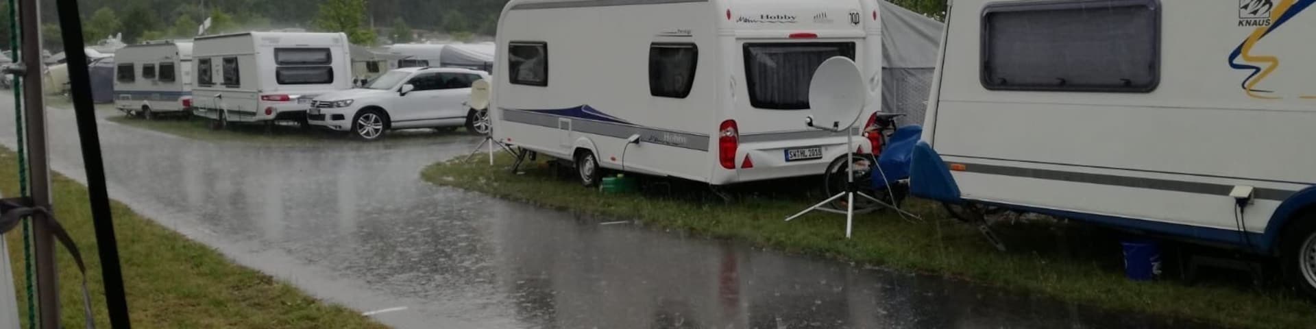 Raining cats and dogs