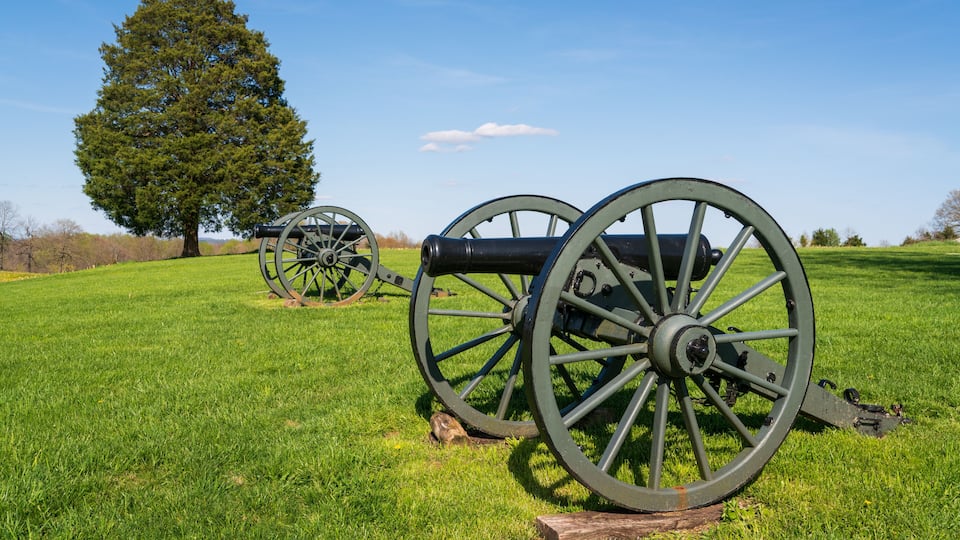 Two cannons on a grassy field with a large tree in the background.