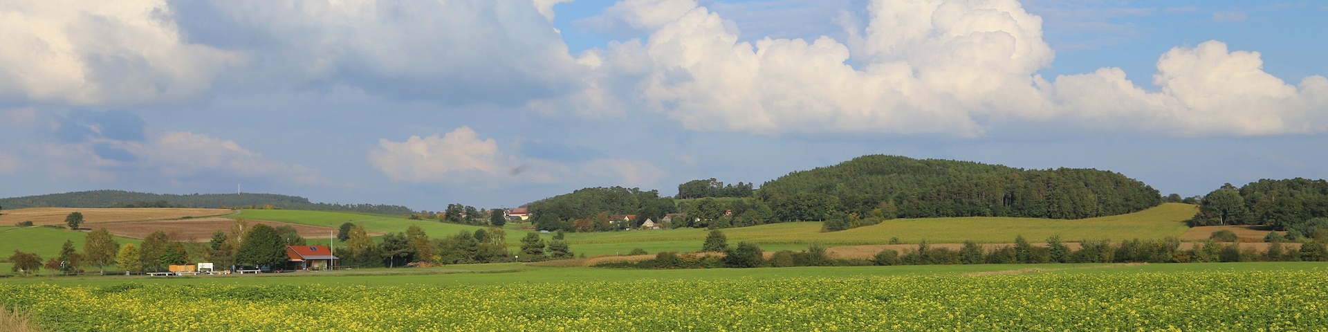 Murner See, view towards Schwarzenfeld (Oberpfälzer Seenland, Bavaria).