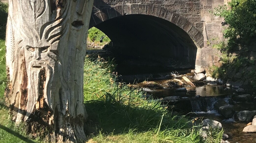 The gorgeous wee town of Dollar, Clackmannanshire, Scotland 🏴 about half an hours drive from where I live in Fife.