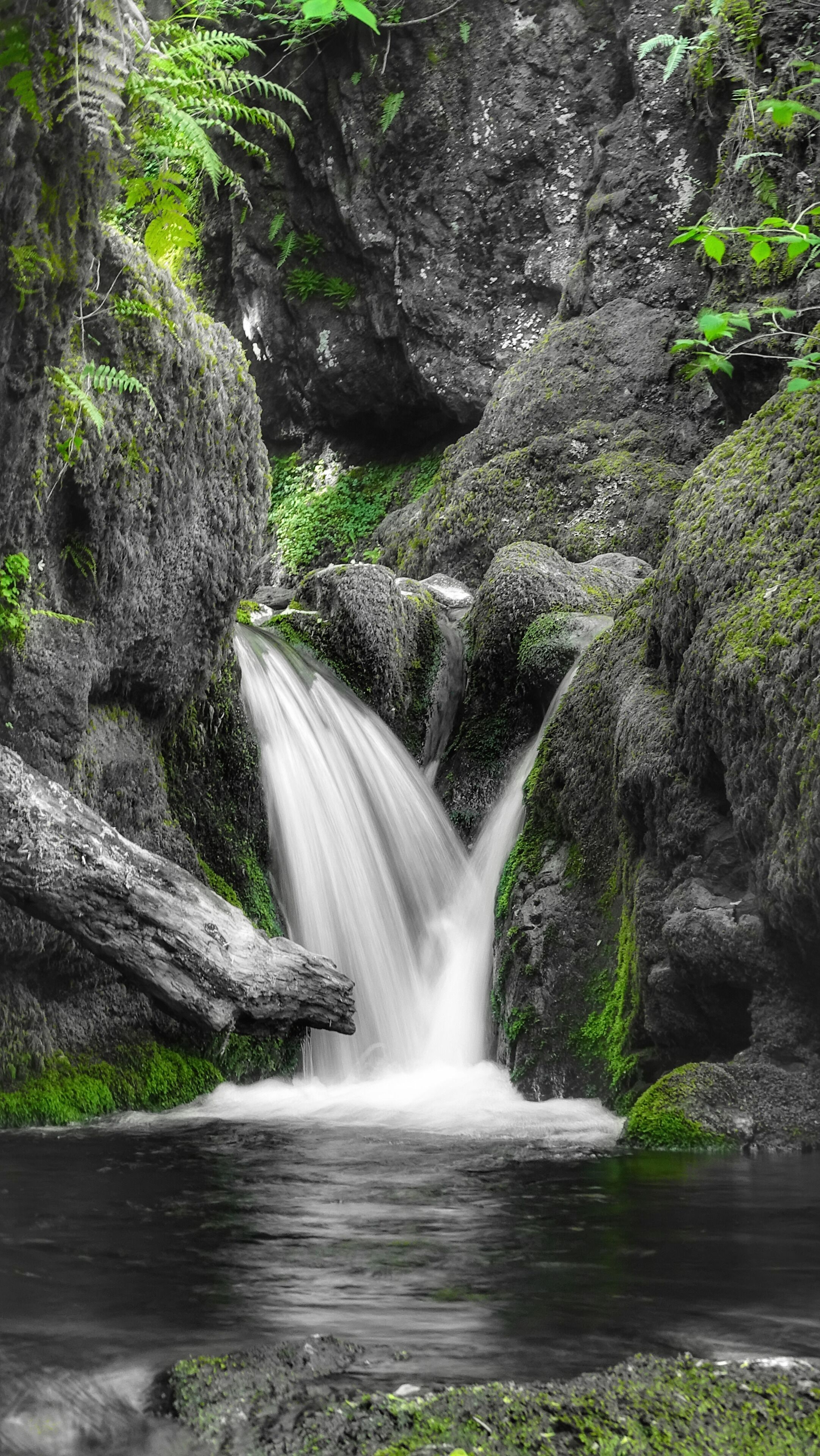 The Lovely Dollar Glen
.
.
#scotland #waterfall #longexposure