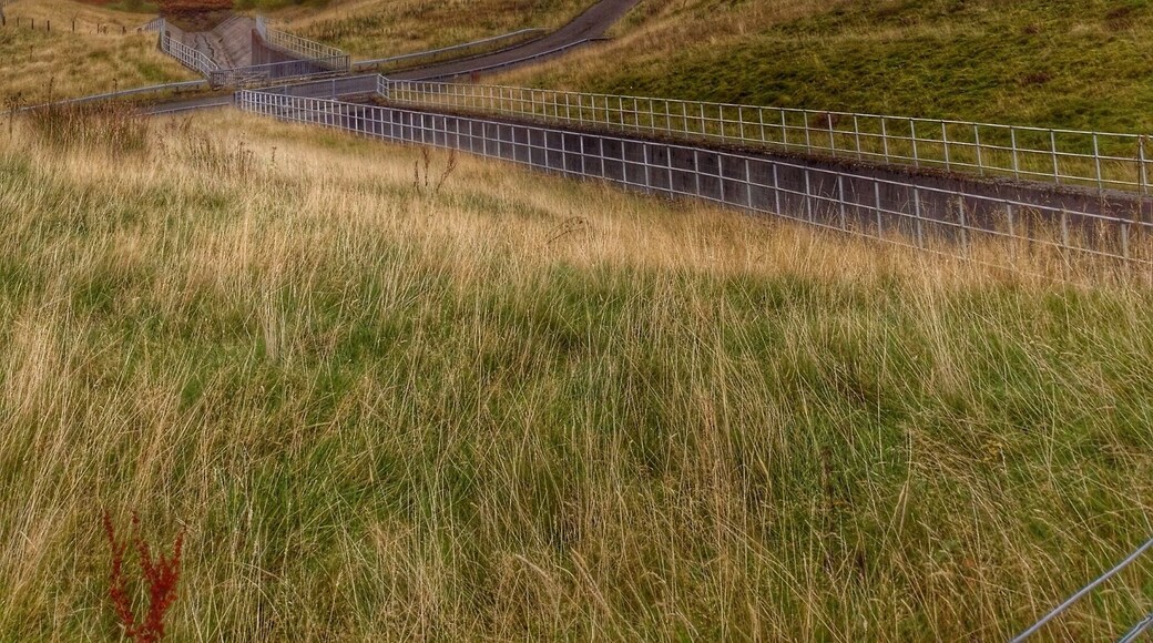 View from edge of reservoir looking over the Ochil hills just outside Gleneagles