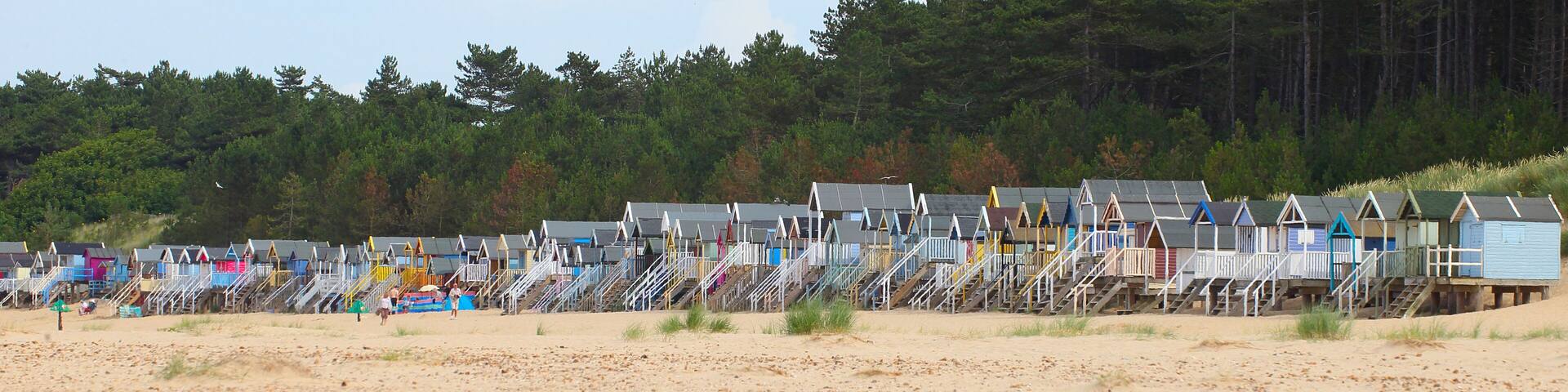 A beach with numerous colorful beach huts and a forest in the background.