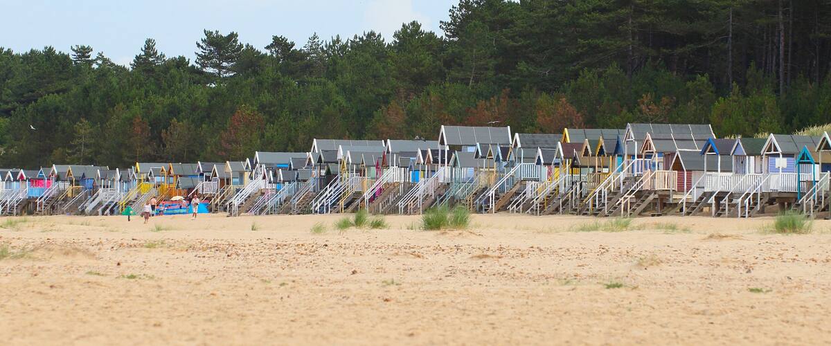 A beach with numerous colorful beach huts and a forest in the background.