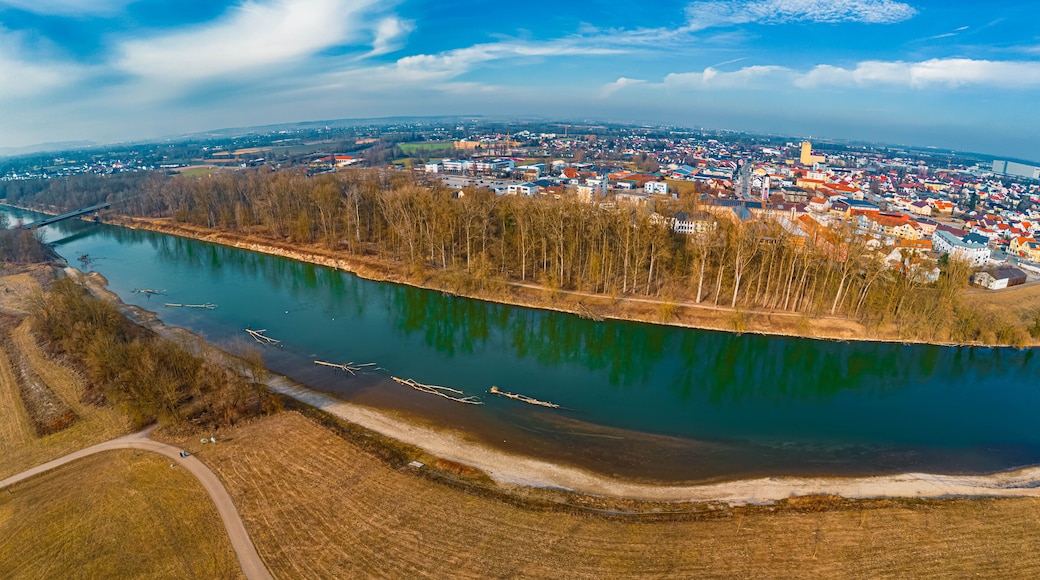 ๋๋ค์ฐ ์ ๋ฐ์ด ์ด์๋ฅด