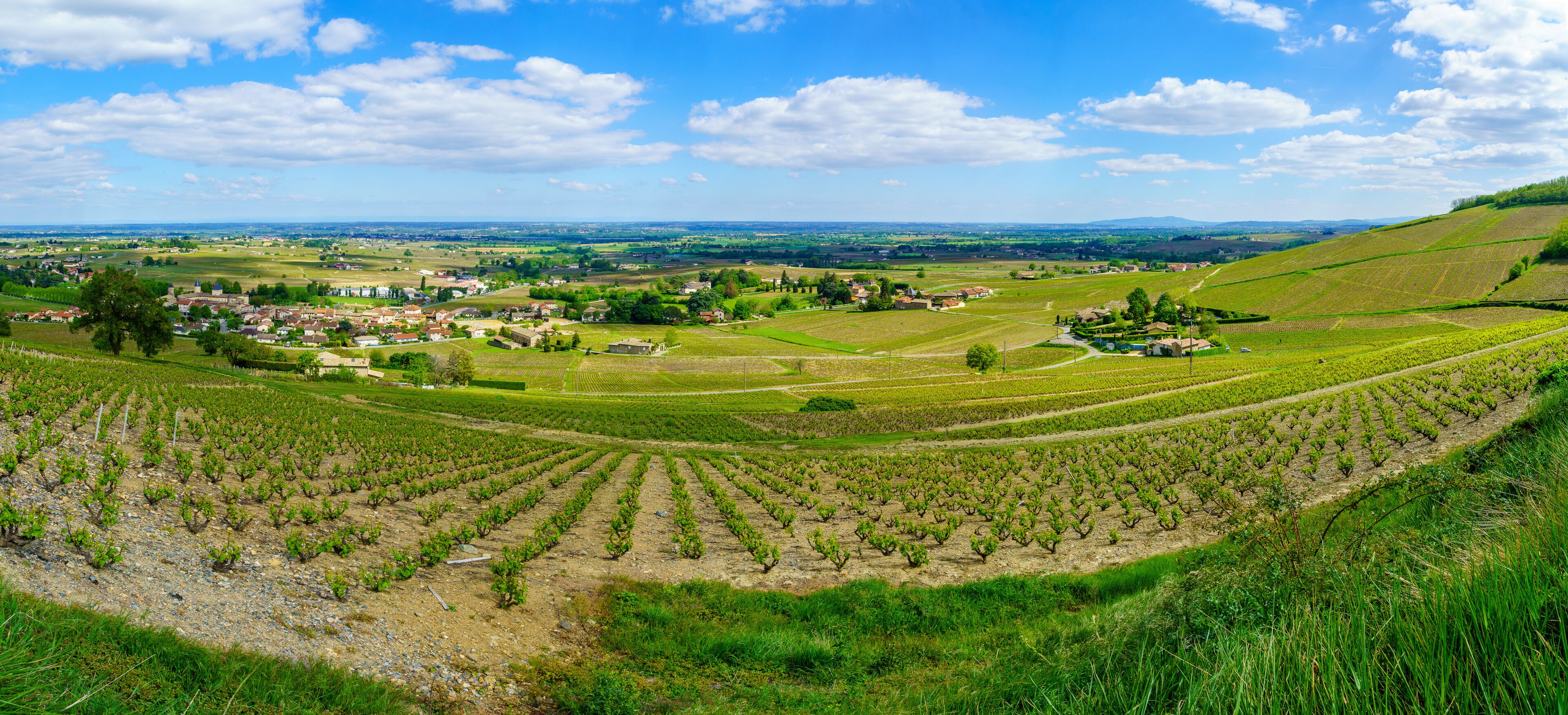 Vaux-en-Beaujolais