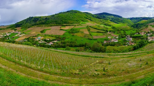 Vaux-en-Beaujolais