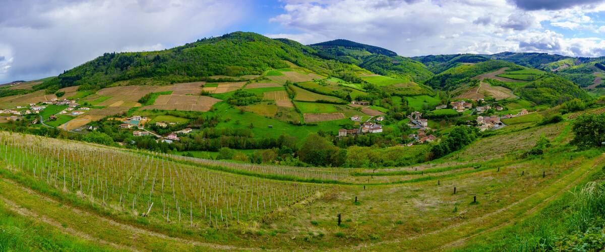 A lush valley with terraced fields, rolling hills, and scattered houses.