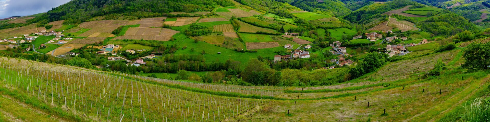 A lush valley with terraced fields, rolling hills, and scattered houses.