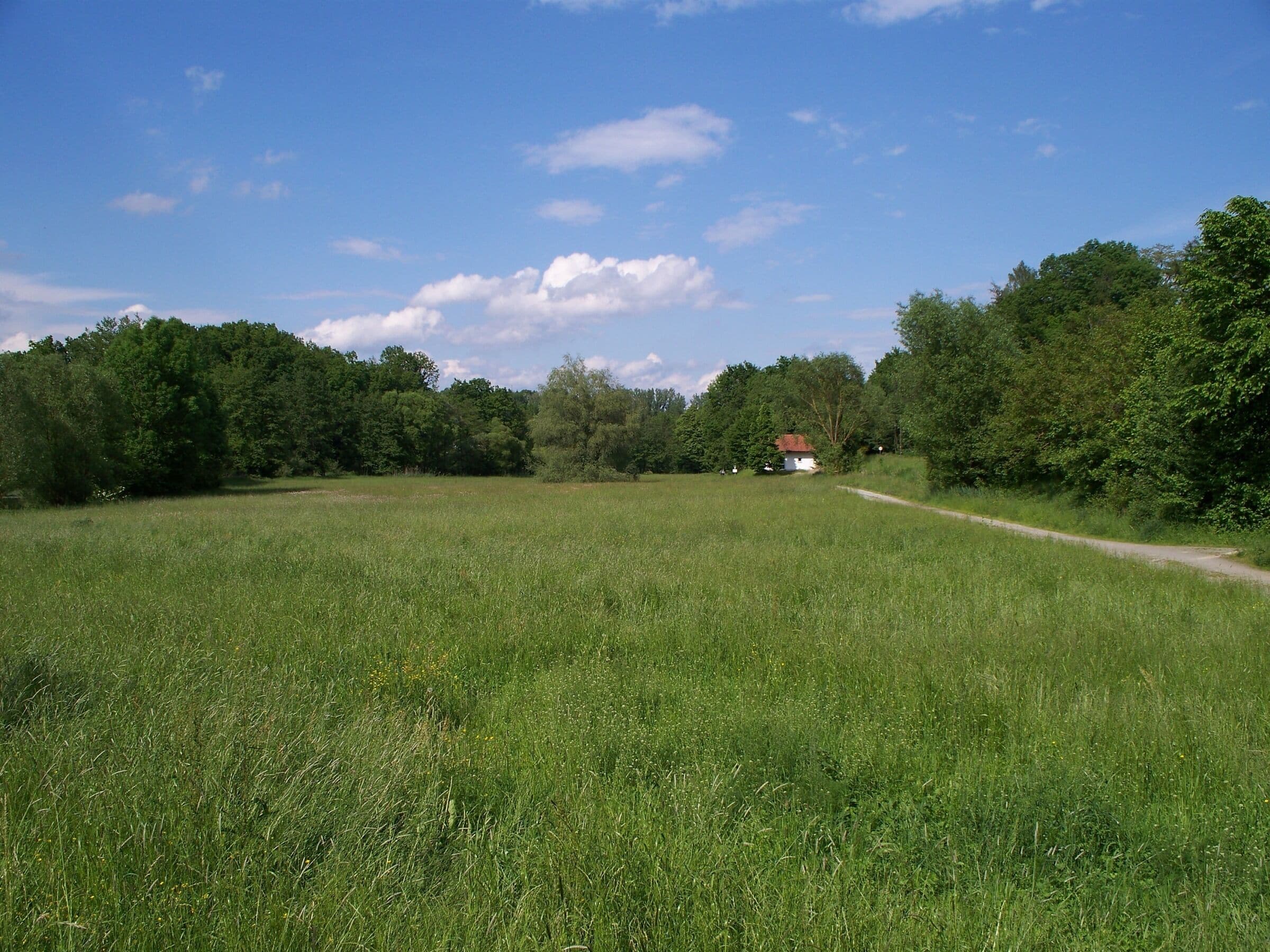 Das Naturschutzgebiet Vilsengtal bei Mattenham (Schönerting), Landkreis Passau.