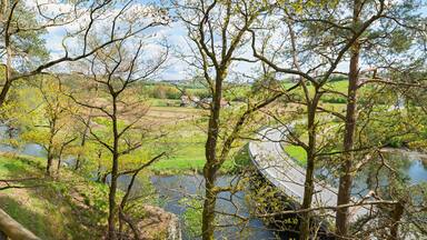 A wonderful path along the Schwarzer Regen River. Spring landscape in Lower Bavaria near Viechtach.
