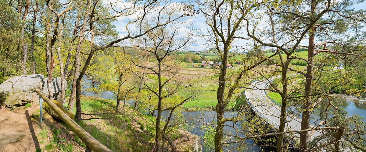 A forested area with a river, a bridge, and a path.