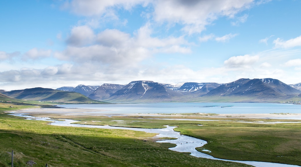 Thingeyri (Þingeyri) is a settlement in the municipality of Ísafjarðarbær, Iceland. It is located on the coast of the fjord Dýrafjörður