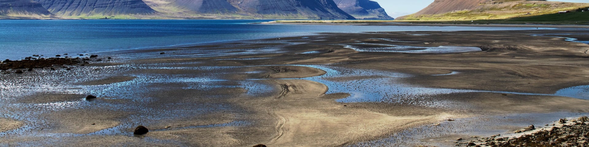Thingeyri (Þingeyri) is a settlement in the municipality of Ísafjarðarbær, Iceland. It is located on the coast of the fjord Dýrafjörður