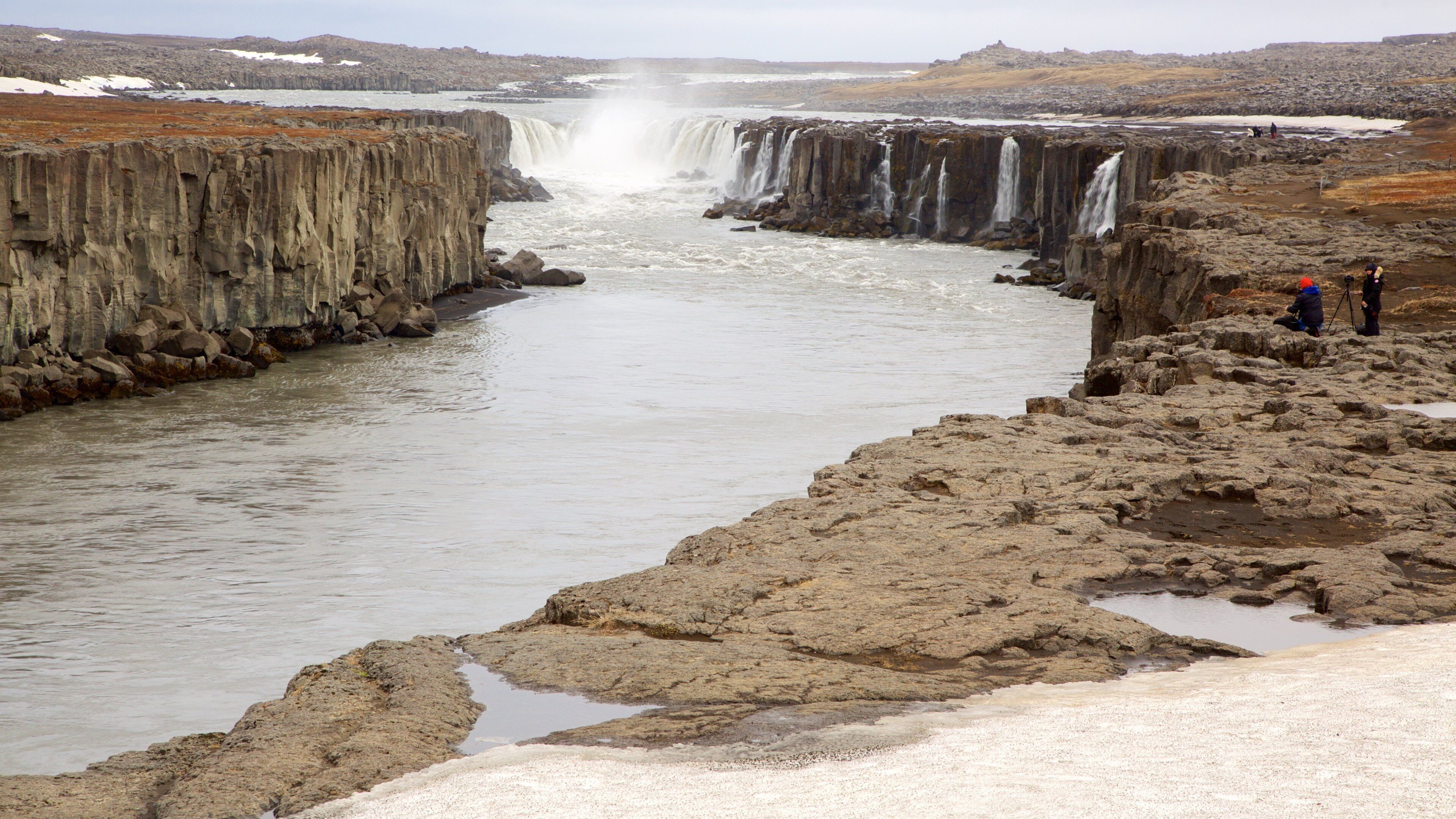 斯金纳斯塔杜尔