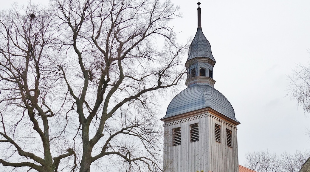 This is a picture of the Brandenburger Baudenkmal (cultural heritage monument) with the ID