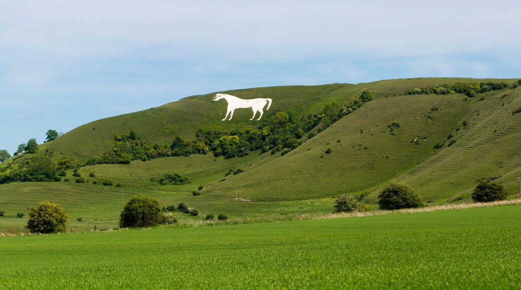 Panorama of Westbury White Horse. Hill figure created by exposing white chalk on the escarpment of Salisbury Plain in Wiltshire, UK